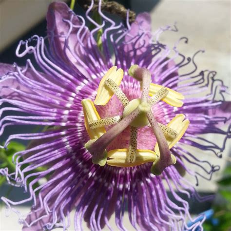 Keep It Local Lafourche