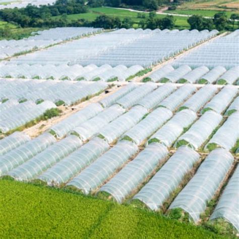 PLÁSTICO AGRÍCOLA Plastico invernadero Colombia