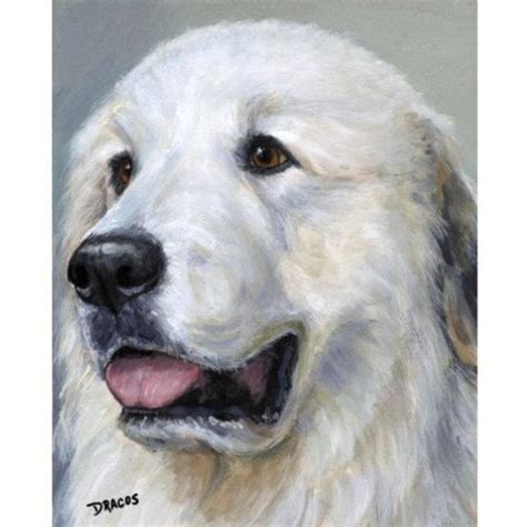 Great Pyrenees Painting at PaintingValley.com | Explore collection of ...