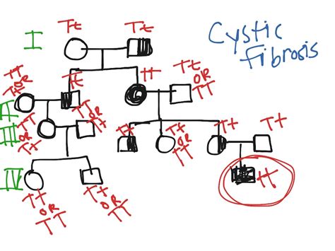 Cystic Fibrosis Pedigree Chart: A Visual Reference of Charts | Chart Master