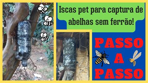 ISCA NA GARRAFA PET PARA CAPTURAR ABELHAS SEM FERRÃO PASSO A PASSO