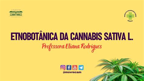 2ª Aula Etnobotânica Da Cannabis Sativa L Profª Eliana Rodrigues