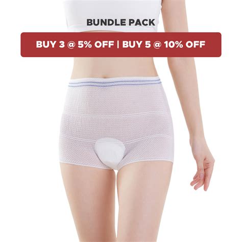 Postpartum Mesh Panties Bundle C Section Panty Reusable