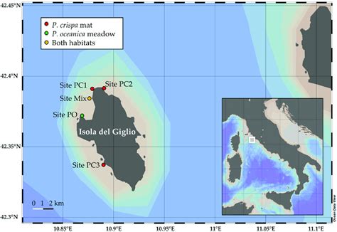 Location Of The Study Area In The Tyrrhenian Sea With Sampling Sites