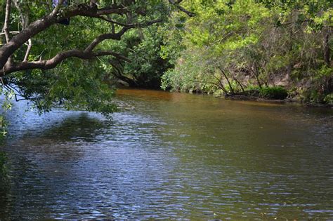 No Bad Days RVing: Little Manatee River State Park