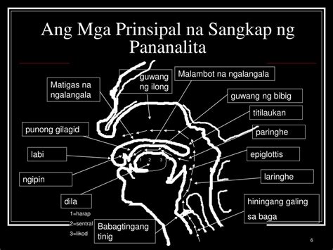 Mga Bahagi Ng Pananalita Chart Mga Bahagi Ng Pananalita Im NBKomputer