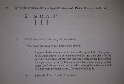 Solved 1) Review of nucleotide structures Draw a generic | Chegg.com