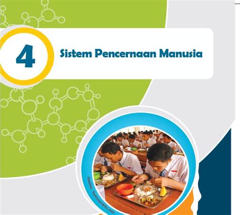 Detail Gambar Sistem Pencernaan Pada Manusia Kelas 7 Koleksi Nomer 38