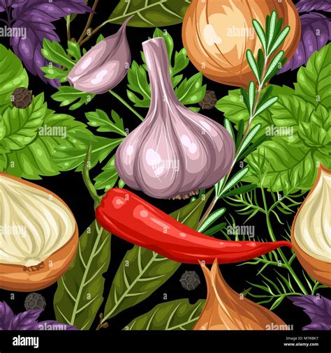 Herbs Spices Drawing Stock Vector Images Alamy