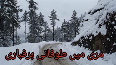 Murree Nathia Gali Ful Snowfall Today January Youtube