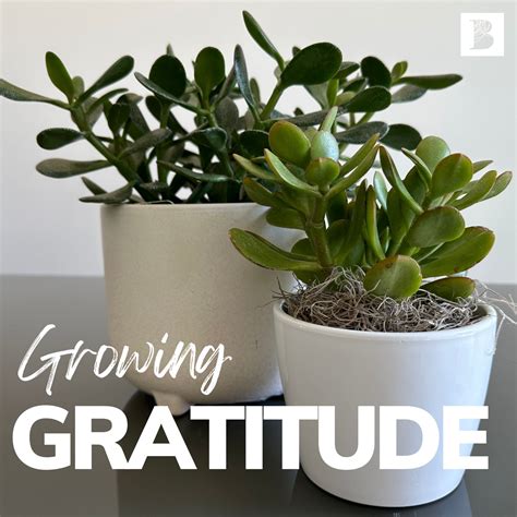 Growing Gratitude - Bennett Design