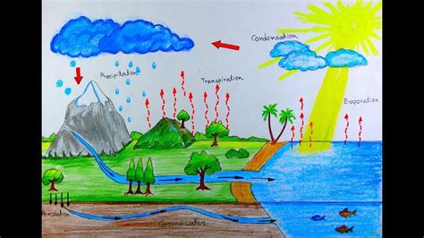 How To Draw Water Cycle For School Project Water Drawing Cycle