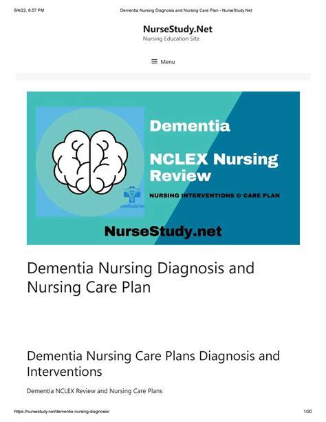 Dementia Nursing Diagnosis And Nursing Care Plan Nurse Study