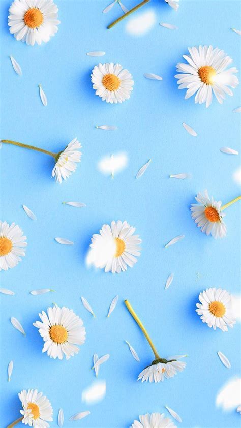 Blue Flowers Aesthetic Wallpapers - Top Free Blue Flowers Aesthetic Backgrounds - WallpaperAccess