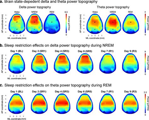 Example Analyses Of Eeg Power Topography During Sleep A Example