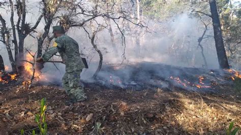 Aplica Sedena Plan Dn Iii E Por Incendio Forestal En Tlaxiaco