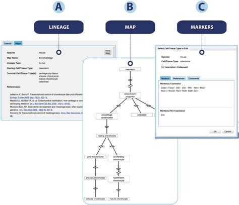 Lineage map. Two types of lineage maps are supported. In this example ...