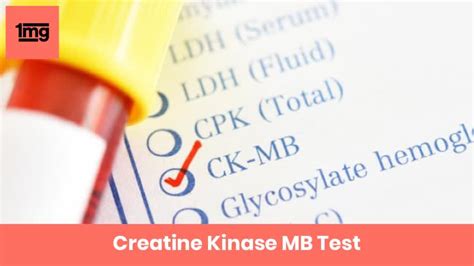 Creatine Kinase MB (CPK-MB): Purpose & Normal Range of Results | 1mg