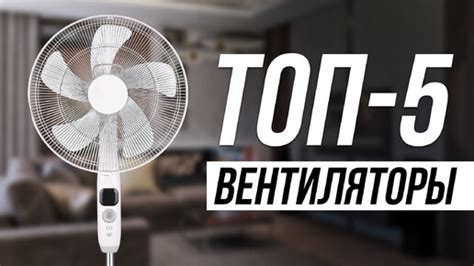 Лучшие ВЕНТИЛЯТОРЫ летом 2024 / Рейтинг Мощных Напольных Вентиляторов ...