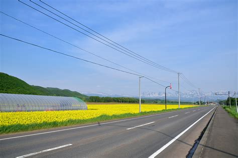 意外と知らない、美瑛・青い池の秘密。季節や時間で変化する青の魅力とアクセスなどの基本情報 札幌観光バス