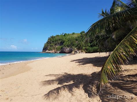 Visiter La Guadeloupe En D Cembre M T O Photos Et Mes Conseils