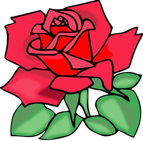 Rose Flower Red Valentine Love Blossom Leaves Clip Art Roses