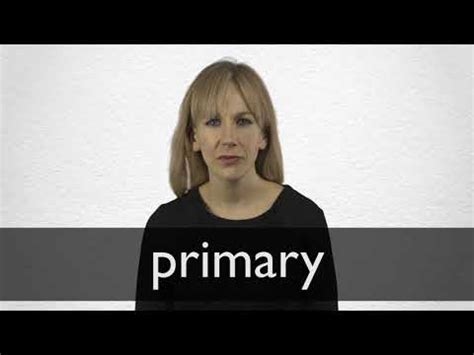PRIMARY definition in American English | Collins English Dictionary