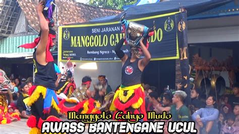 Full Sesi Bantengan Galak E Manggolo Cahyo Mudo Live Panjer Plosoklaten