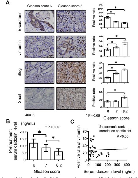 Figure 1 From Prostate Diseases And Microbiome In The Prostate Gut And Urine Semantic Scholar