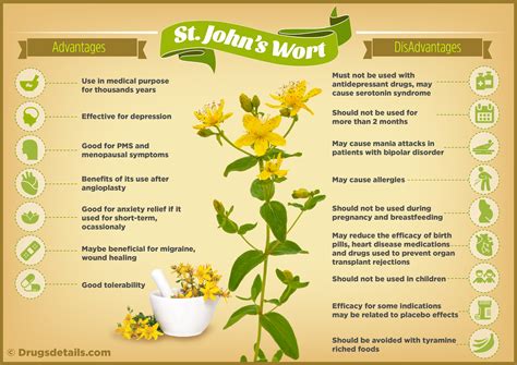 St. John’s Wort - Drugs Details