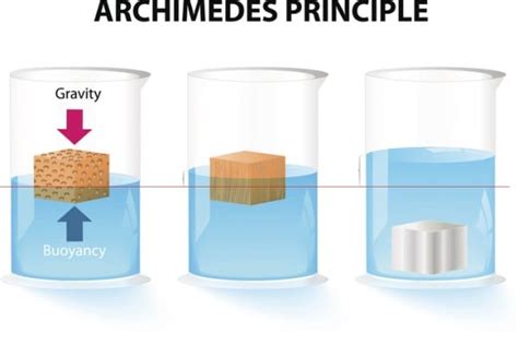 Esperimento Sulla Legge Di Archimede Studenti It