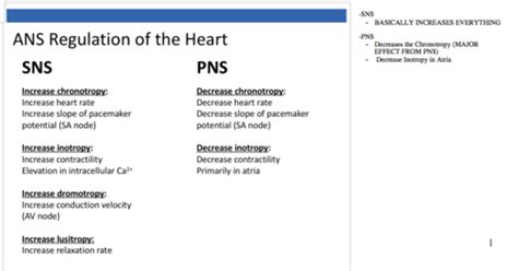 Physiology Test 2 Cardio Flashcards Quizlet