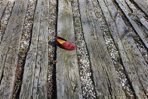 Free Images Tree Nature Forest Shoe Wood Track Leaf Flower