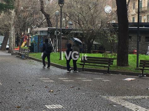 Sporcizia E Degrado Ai Giardini Di Piazza Del Popolo Foto Photogallery