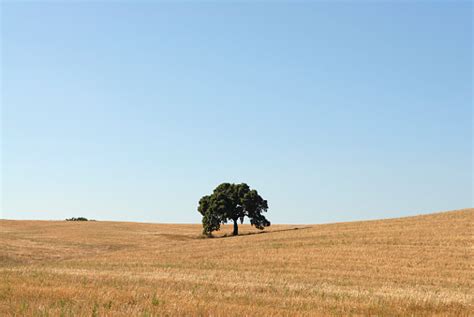 Alentejo Pictures | Download Free Images on Unsplash