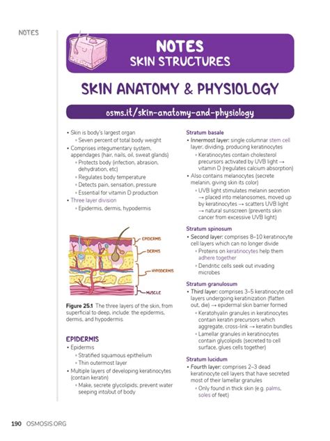 Osmosis Integumentary System | PDF | Wound Healing | Skin