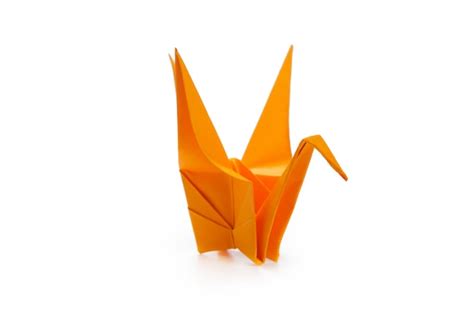 Premium Photo | Origami crane on white