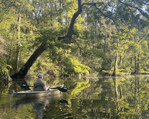 New Orleans Kayak Swamp Tour | Beyond the Bayou Tours