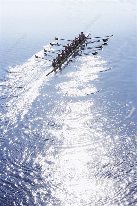 Rowing team rowing scull on sunny lake - Stock Image - F013/9951 ...