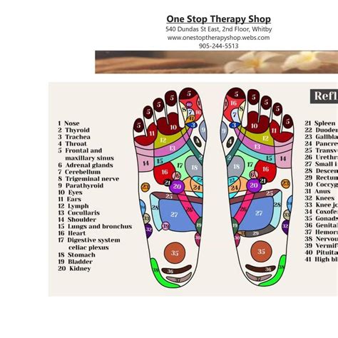 Reflexology Chart.docx | DocDroid