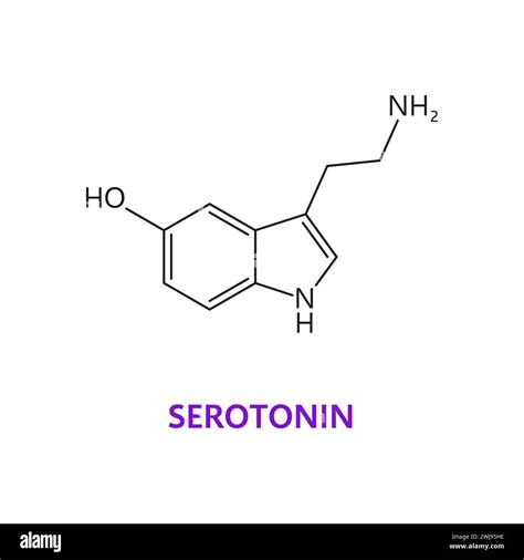 Neurotransmisor F Rmula Qu Mica De Serotonina Y Mol Cula Estructura