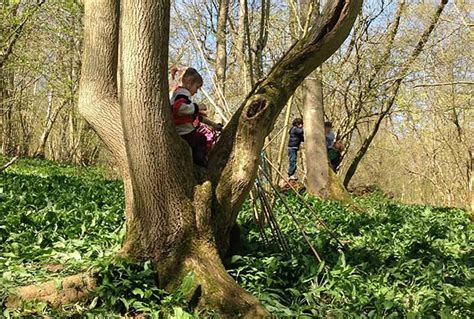 What Is Forest School Badger Wood Adventures