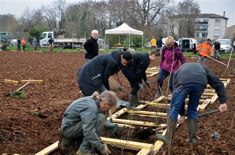 Photos Réussite de la première phase de plantation de la micro forêt à