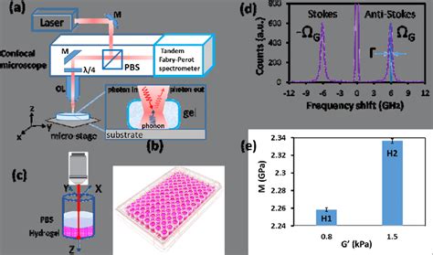 A Schematic Of Brillouin Microscopy Setup The Nm Continuous Wave