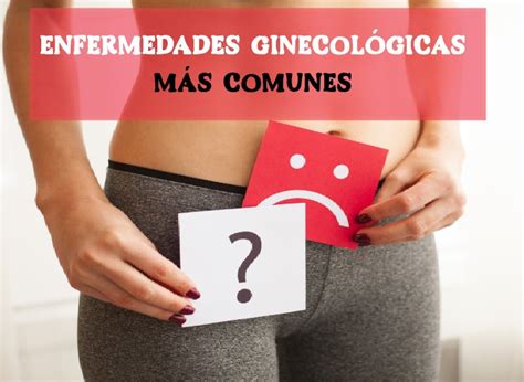 ¿cuáles Son Las Patologías Ginecológicas Más Frecuentes