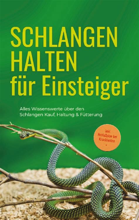 Schlangen Halten F R Einsteiger Alles Wissenswerte Ber Den Schlangen