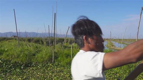 Floating Gardens on Inle Lake, Myanmar (Burma) Stock Video - Video of floating, lake: 263990293