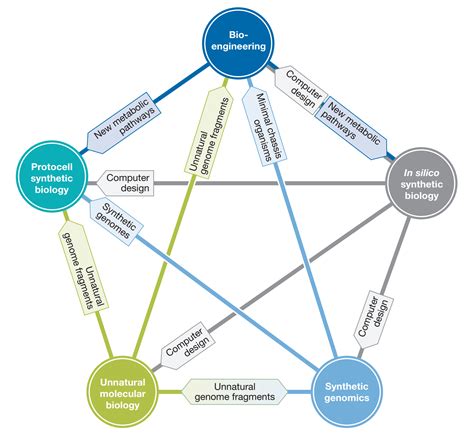 ️ World systems theory criticism. World Systems Theory Criticism ...