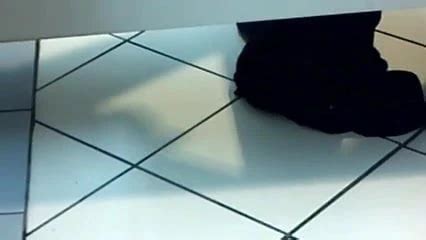 Stall Wanker 6 Gay Man Porn XHamster