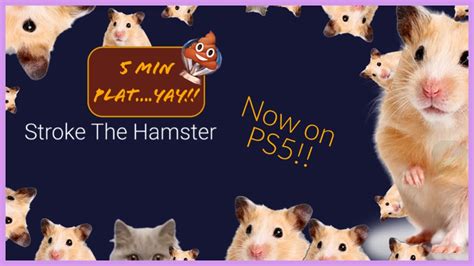 Stroke The Hamster Ps Trophy Guide And Review More Hamster Strokin